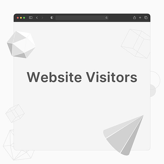 What are Website Visitors?